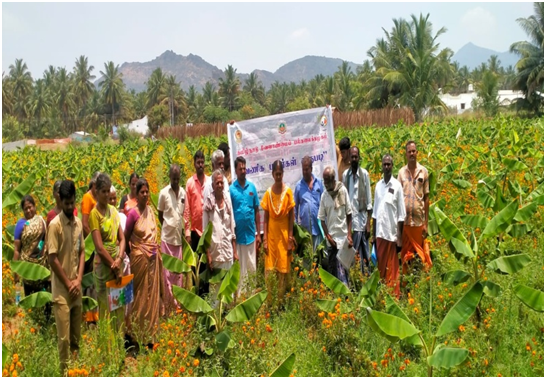 PLANT TODAY! PROSPER TOMORROW!!